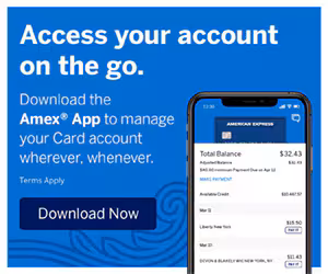 Access your account on the go. Download the Amex App.